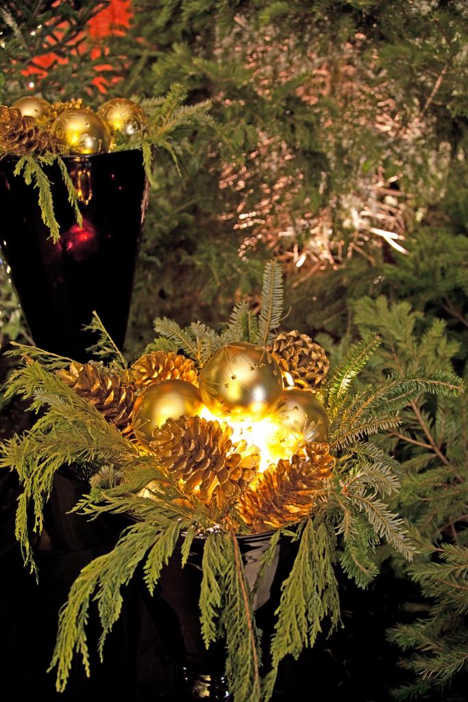 Advent for us is living in Hope for the arrival of the Light of the World